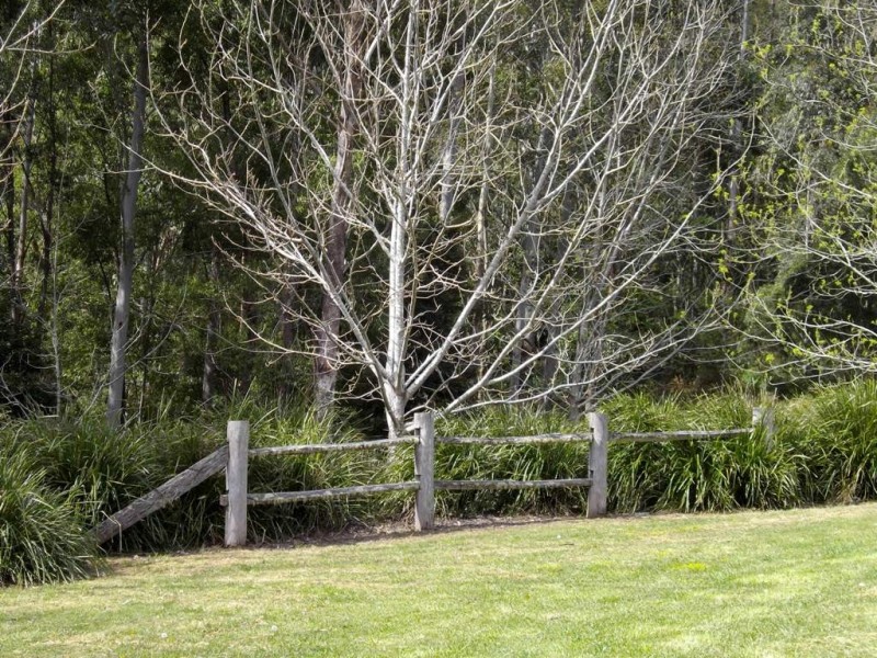 80 Treefern Road, Kangaroo Valley NSW 2577