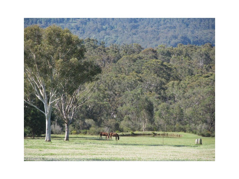 310 Tallowa Dam Road, Kangaroo Valley NSW 2577