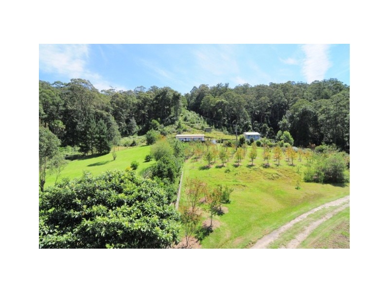 698 Bugong Fire Trail, Kangaroo Valley NSW 2577