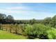 698 Bugong Fire Trail, Kangaroo Valley NSW 2577