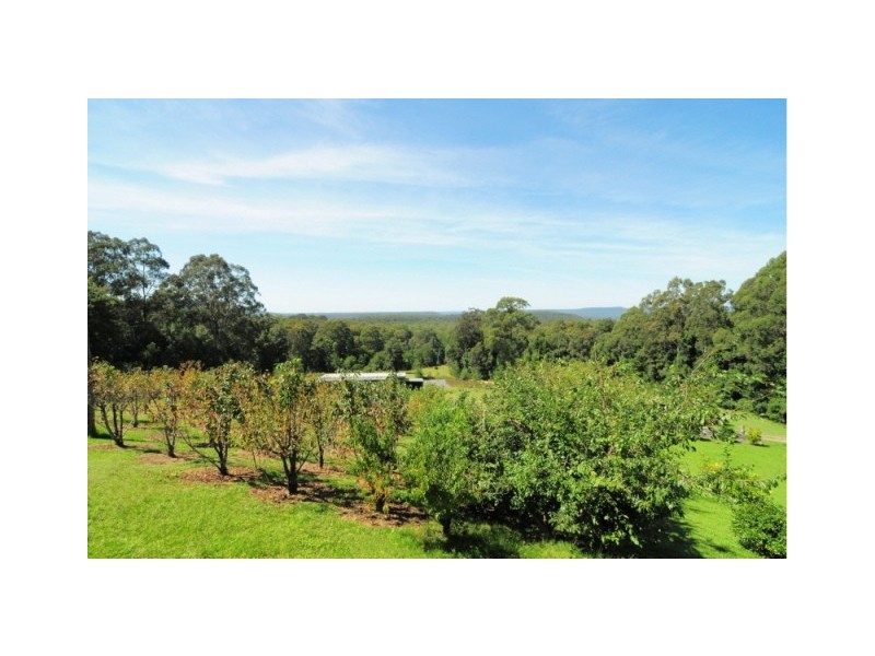 698 Bugong Fire Trail, Kangaroo Valley NSW 2577