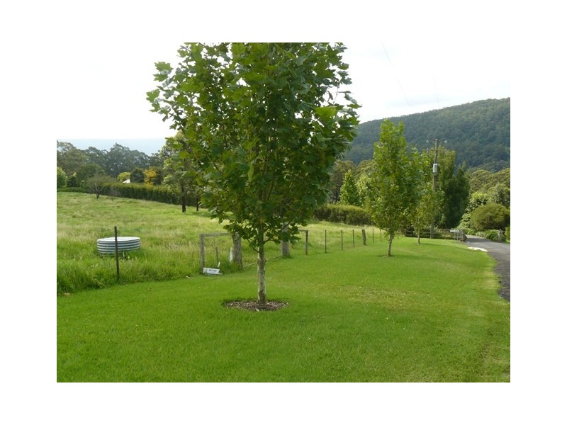Lot/3 Cedarview Road, Kangaroo Valley NSW 2577