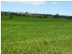 98 Main Road, Cambewarra NSW 2540