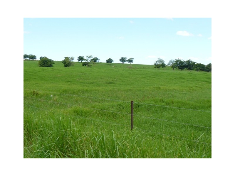 98 Main Road, Cambewarra NSW 2540