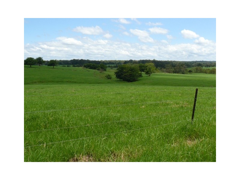 98 Main Road, Cambewarra NSW 2540