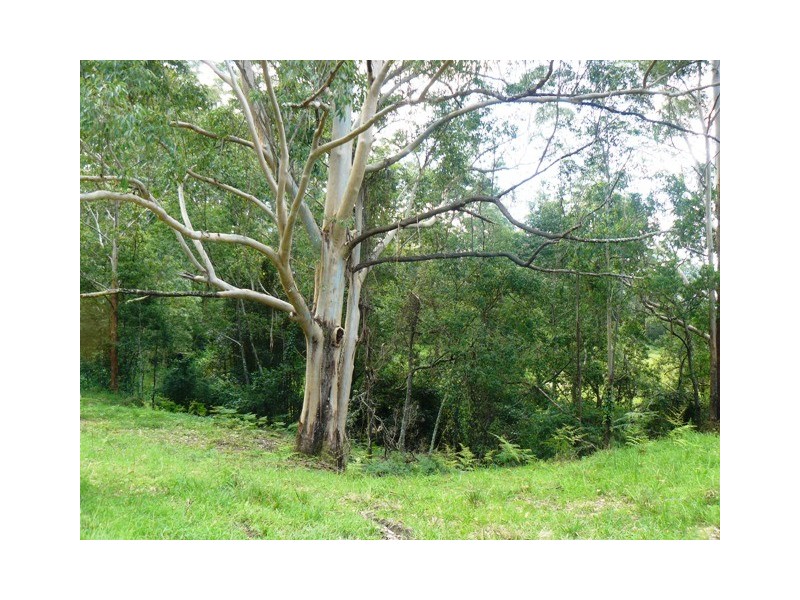 Lot 7 Paddington Lane, Kangaroo Valley NSW 2577