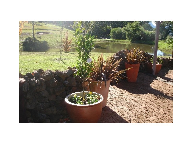 103 Mackays Road, Kangaroo Valley NSW 2577