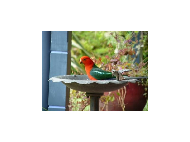 281A Irvines Road, Berry NSW 2535