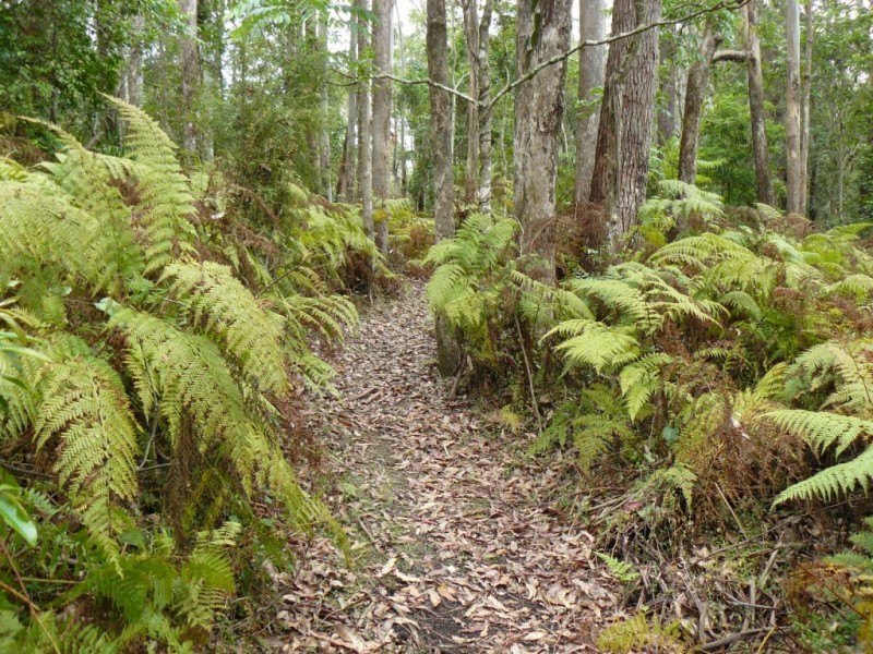 281A Irvines Road, Berry NSW 2535