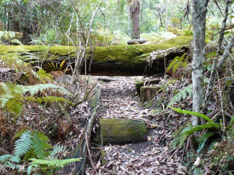 281A Irvines Road, Berry NSW 2535