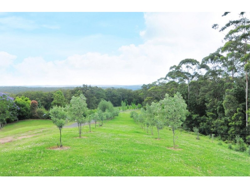 450 Bugong Road, Kangaroo Valley NSW 2577