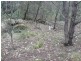 Lot 1 Bugong, Kangaroo Valley NSW 2577