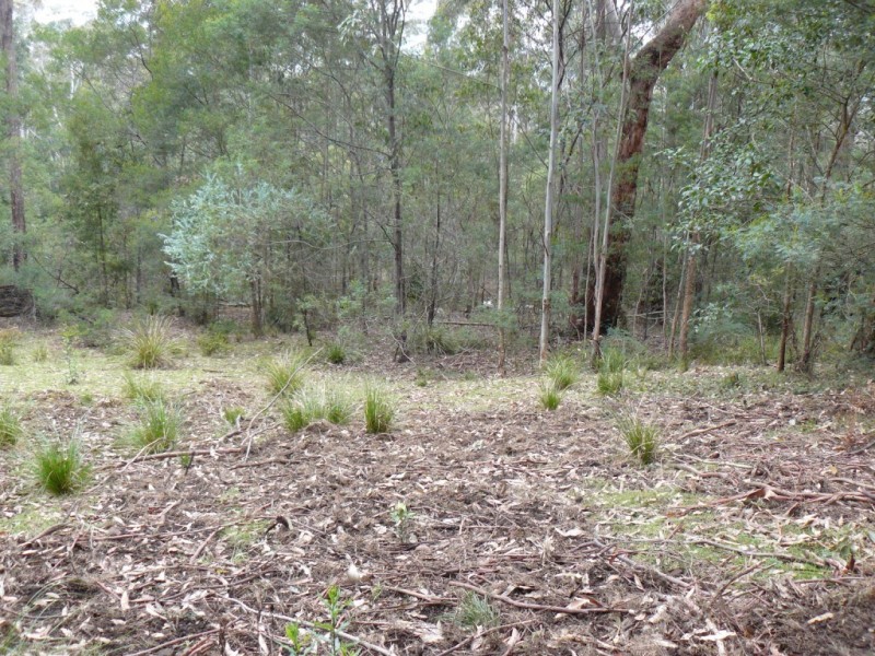 Lot 1 Bugong, Kangaroo Valley NSW 2577