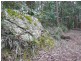 Lot 1 Bugong, Kangaroo Valley NSW 2577