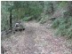 Lot 1 Bugong, Kangaroo Valley NSW 2577