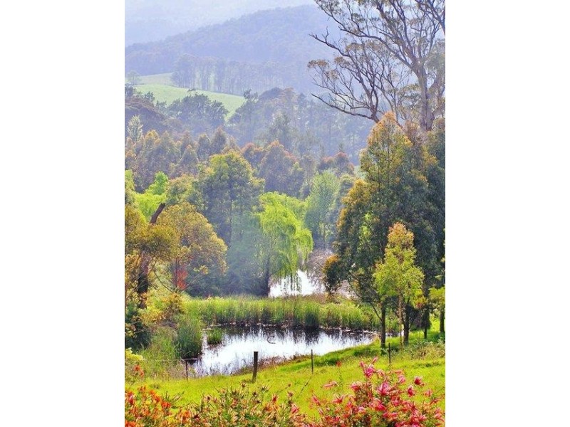 Kangaroo Valley NSW 2577