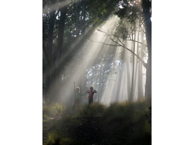 50C Keoghs Road, Kangaroo Valley NSW 2577