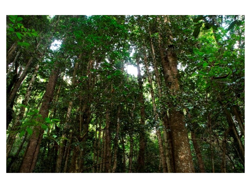 50C Keoghs Road, Kangaroo Valley NSW 2577