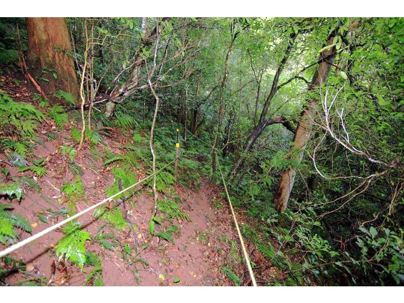 Bellawongarah NSW 2535