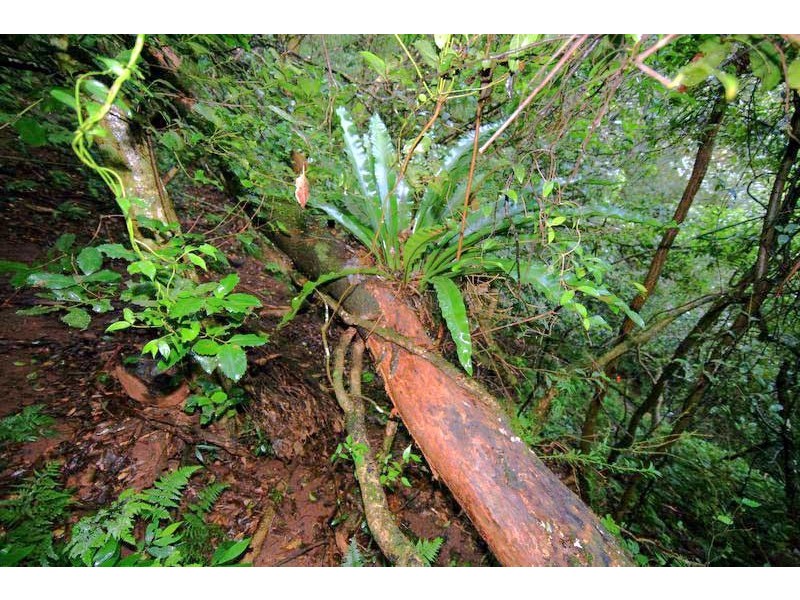 Bellawongarah NSW 2535