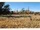 40-42 Jindabyne Road, Berridale NSW 2628