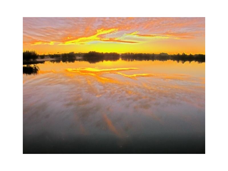 Georges Hall NSW 2198