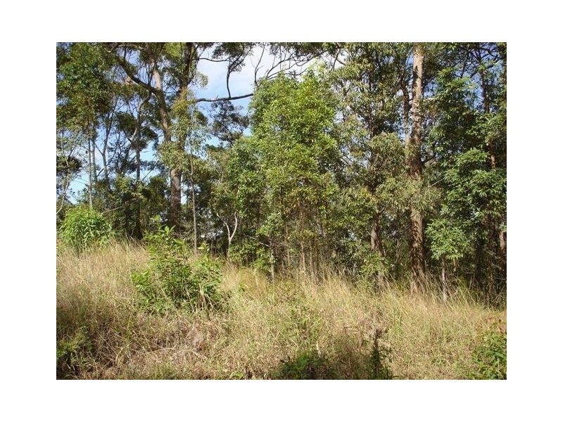 Doonan QLD 4562
