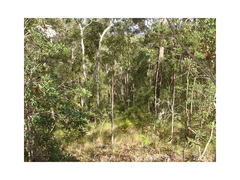 Doonan QLD 4562