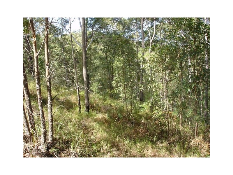 Doonan QLD 4562