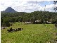 Cooroy QLD 4563