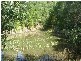 Cooroy QLD 4563