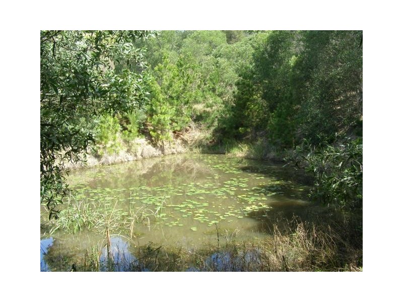 Cooroy QLD 4563