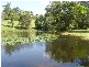 Cooroy QLD 4563