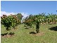 Cooroy QLD 4563