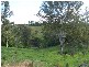 Cooroy QLD 4563