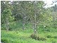 Cooroy QLD 4563