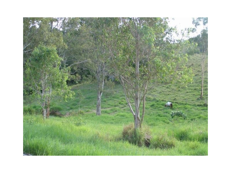 Cooroy QLD 4563