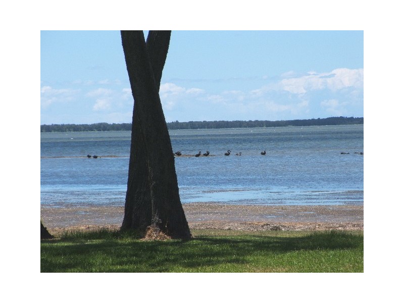 Tuggerawong NSW 2259