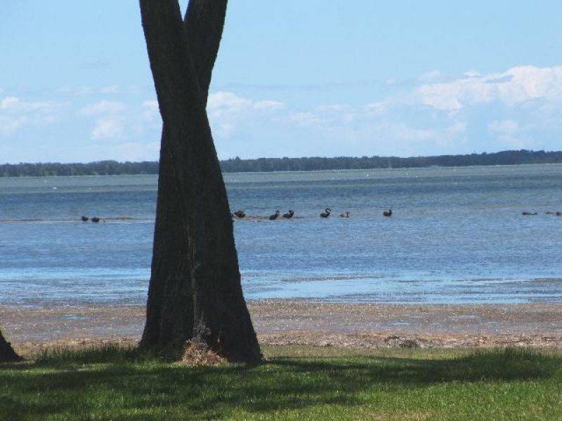 324 Tuggerawong Road, Tuggerawong NSW 2259