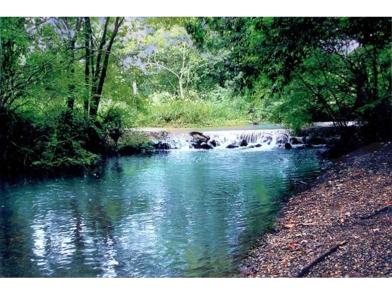 12 Cicolini Close , Upper Lansdowne NSW 2430