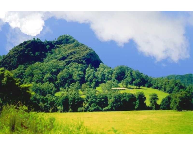 12 Cicolini Close , Upper Lansdowne NSW 2430