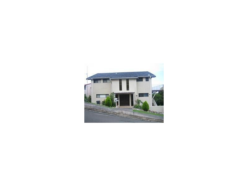 Mount Pleasant NSW 2519