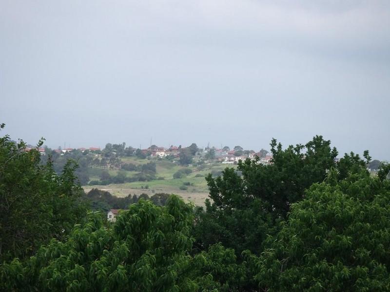 Cringila NSW 2502