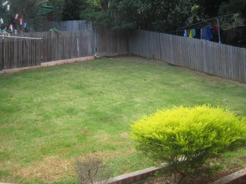 6 Gannet Avenue, Berkeley NSW 2506