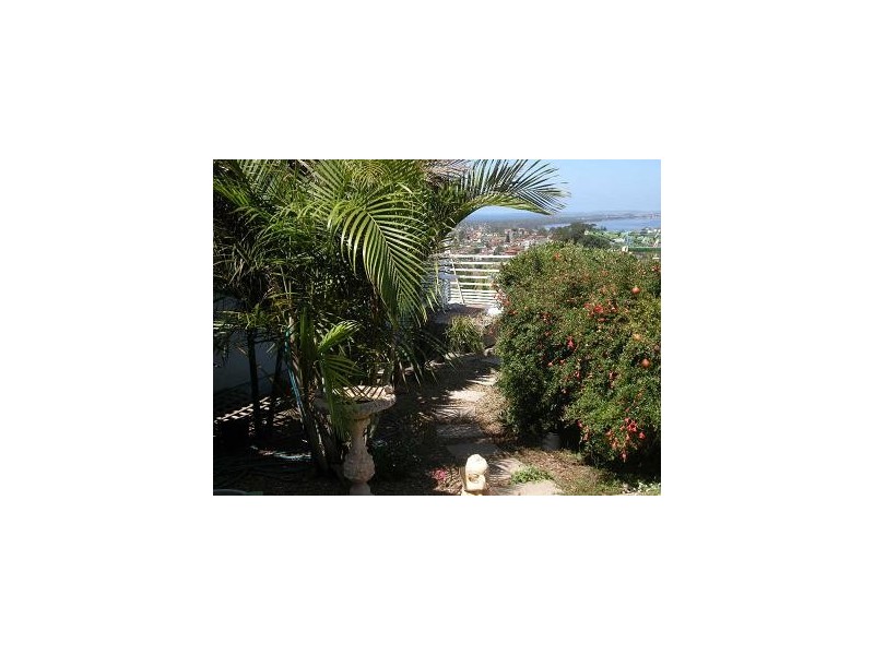 227 Flagstaff Road, Lake Heights NSW 2502