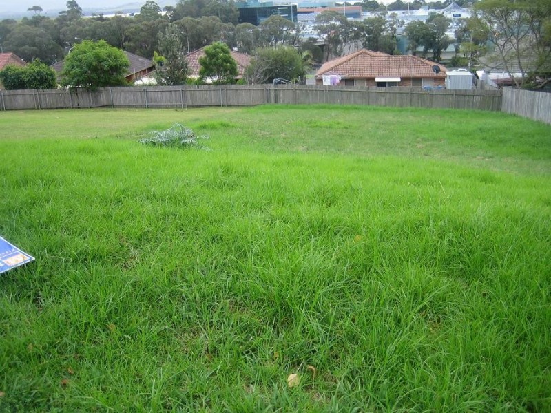 21 Platypus Way, Blackbutt NSW 2529