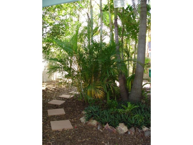 1/21 Radiata Drive, Maroochydore QLD 4558