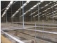 Toowoomba QLD 4350