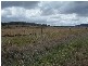 6 six, Cambooya QLD 4358
