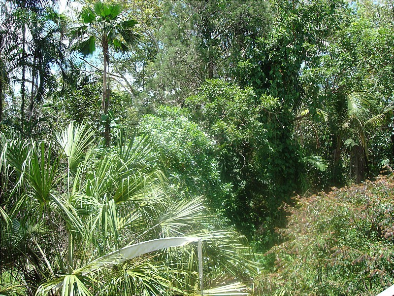 45 Dreamtime Drive, Mcminns Lagoon NT 0822